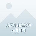 我在机兽世界杀敌成神