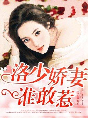 王者婿