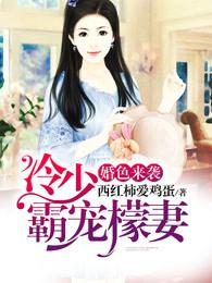 婚色来袭:冷少霸宠檬妻